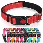 Adjustable Reflective Nylon Dog Collar with Safety Buckle