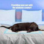 30 Pack Dog Training Pads - Leak Proof & Absorbent