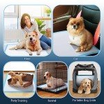 30 Pack Dog Training Pads - Leak Proof & Absorbent