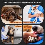 Anti-Slip Dog Paw Protector Pads - 48pcs XXL