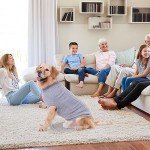 Cozy Knitted Turtleneck Sweater for Small Dogs