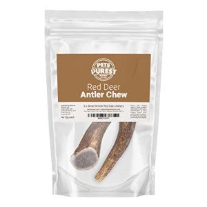 Natural Antler Chews for Dogs - 2 Small Bones