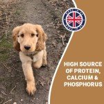 Natural Antler Chews for Dogs - 2 Small Bones