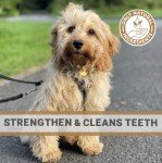 Natural Antler Chews for Dogs - 2 Small Bones
