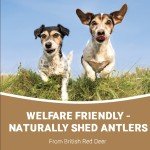 Natural Antler Chews for Dogs - 2 Small Bones