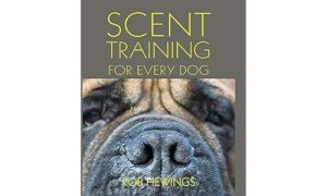 Scent Training Essentials for All Dogs