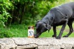 TurmerEase Chicken & Turmeric Joint Supplements for Pets