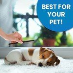 Dog Grooming Scissors Set with Leather Pouch