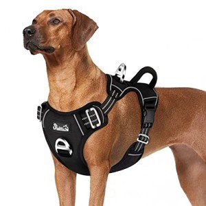 Adjustable Heavy Duty Dog Harness for Large Dogs