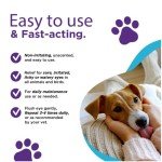 RenaSan Antiseptic Eye Drops for Pets 100 ml