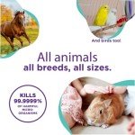 RenaSan Antiseptic Eye Drops for Pets 100 ml