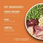 Lily's Kitchen Grain-Free Chicken & Duck Dog Food