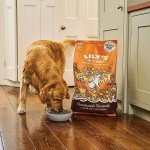 Lily's Kitchen Grain-Free Chicken & Duck Dog Food
