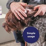 Canosept Dog Ear Wipes - 50 Cleansing Pads