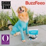 Shed Defender Sport Dog Onesie - Reduces Shedding & Anxiety