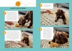 Puppy Training Made Easy: Revised Classic Guide