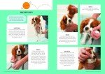Puppy Training Made Easy: Revised Classic Guide