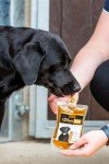 Golden Paste for Dogs: Joint Health & Inflammation Support