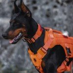 OneTigris No Pull Tactical Dog Harness, Medium Orange