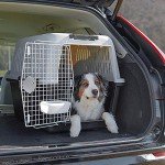 Dog Travel Kennel with Safety Closing System