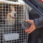 Dog Travel Kennel with Safety Closing System