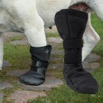 Waterproof Adjustable Dog Leg Wound Cover Boots