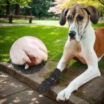 Waterproof Adjustable Dog Leg Wound Cover Boots