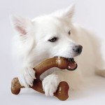 Benebone Chew Toy Box for Aggressive Chewers