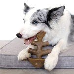 Benebone Chew Toy Box for Aggressive Chewers