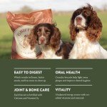 Griffiths Beef Dry Dog Food for Sensitive Skin