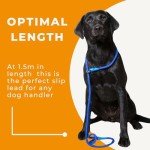 Blue Deluxe Gundog Slip Lead - Super Soft Nylon