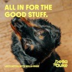 Bella & Duke Ox Liver Dog Treats - Grain-Free Bites