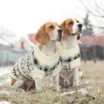 Cozy Boho Dog Jumper - Small to Large