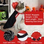 Stylish Pet Cape Costume for Dogs and Cats