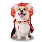 Stylish Pet Cape Costume for Dogs and Cats