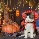 Stylish Pet Cape Costume for Dogs and Cats