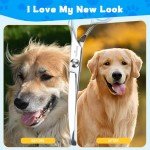 Nobleza 5-in-1 Dog Grooming Scissors Set