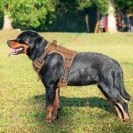Heavy Duty Tactical Dog Harness for Large Dogs
