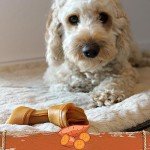Smartbones Medium Sweet Potato Rawhide-Free Chews