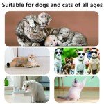 40 Pack Waterproof Dog Boots for Injured Paws