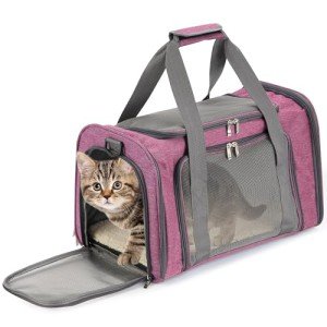Pink Soft-Sided Pet Carrier for Dogs and Cats