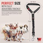 2 Pack Dog Seat Belts for Car Safety