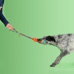Fauxtastic PowerBall Bungee Tug Toy for Dogs