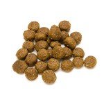 Lifelong Salmon & Rice Dry Dog Food for Small Breeds