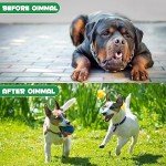 Natural Dog Wormer and Flea Treatment Drops 60ml