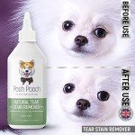 Natural Tear Stain Remover for Dogs - Posh Pooch