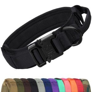 Heavy Duty Tactical Dog Collar with Handle