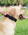Heavy Duty Tactical Dog Collar with Handle