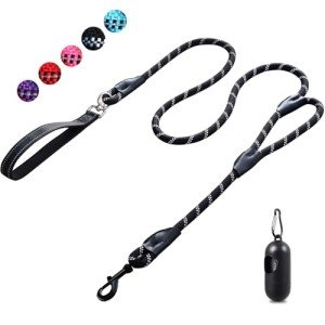 6FT Reflective Dog Leash with Padded Handle