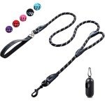 6FT Reflective Dog Leash with Padded Handle